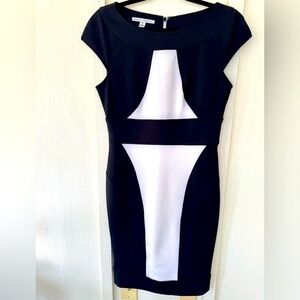 Maggy London Black & White Fitted Cap Sleeve Sheath Dress- Sz 8